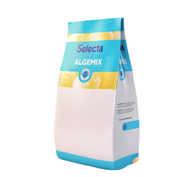 Algemix Chocolate Com Avelã 1,010kg
