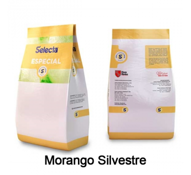 Base para Sorvete Selecta Especial Sabor Morango Silvestre 1 Kg