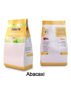 Base para Sorvete Selecta Especial Sabor Abacaxi 1 Kg