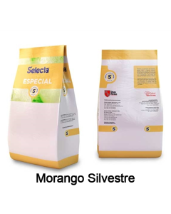 Base para Sorvete Selecta Especial Sabor Morango Silvestre 1 Kg
