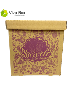 Caixa Papelão 10 Lt para Massa Caixa com 70 unidades Viva Box