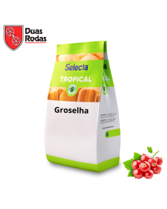 Selecta Tropical Groselha Duas Rodas 1 Kg