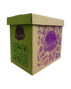 Caixa P/ Sorvete padrão 5litros C/10 unidades  Viva Box